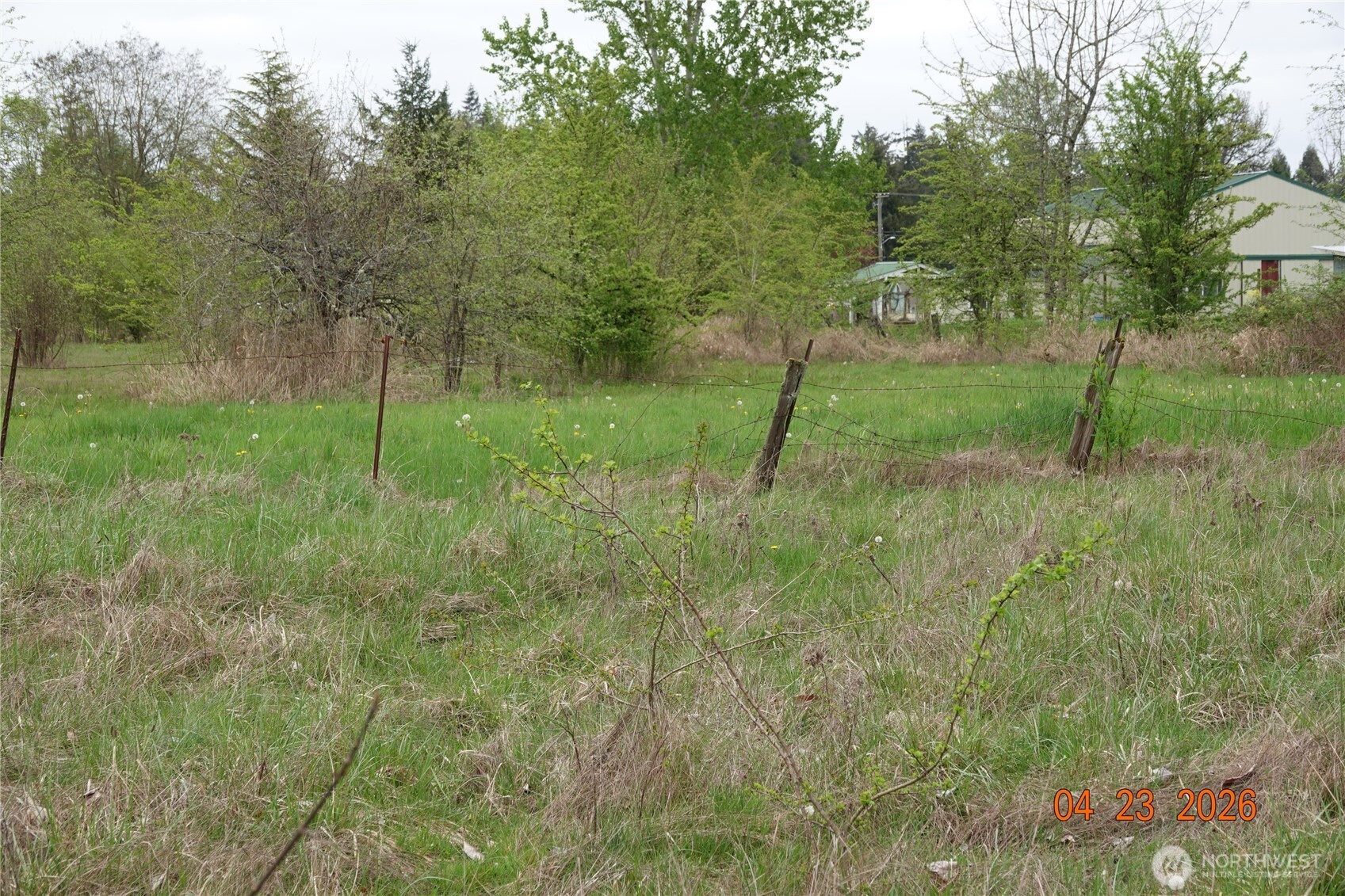11703 34th Avenue Property Photo 14