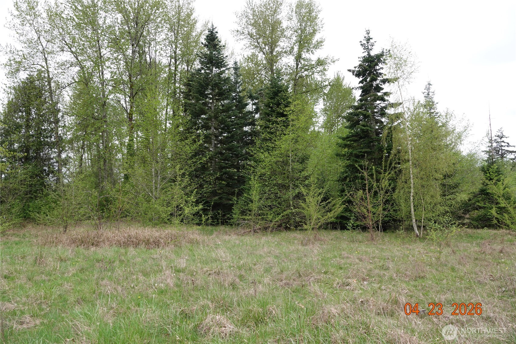 11703 34th Avenue Property Photo 15