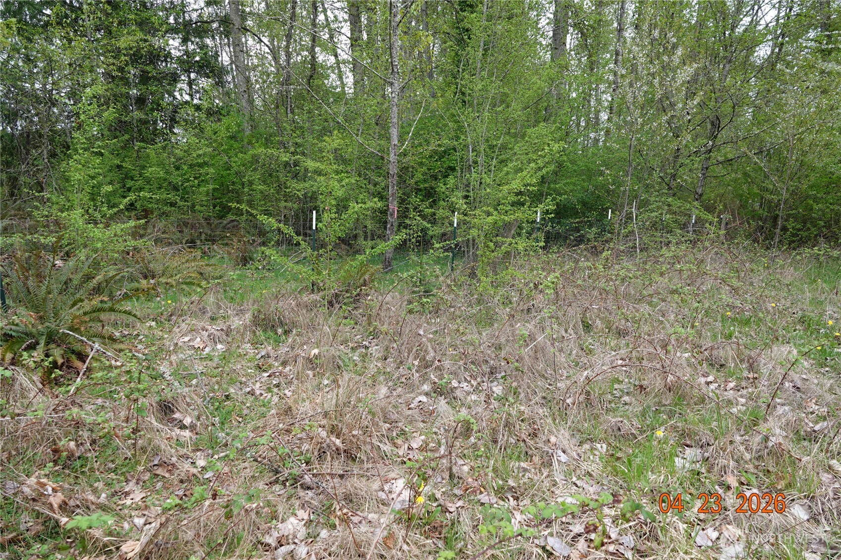 11703 34th Avenue Property Photo 16