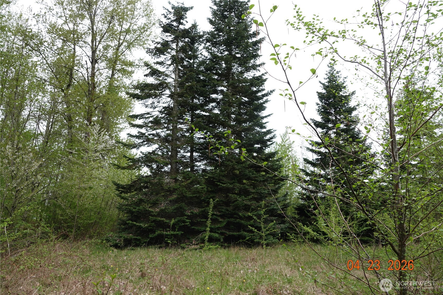 11703 34th Avenue Property Photo 17