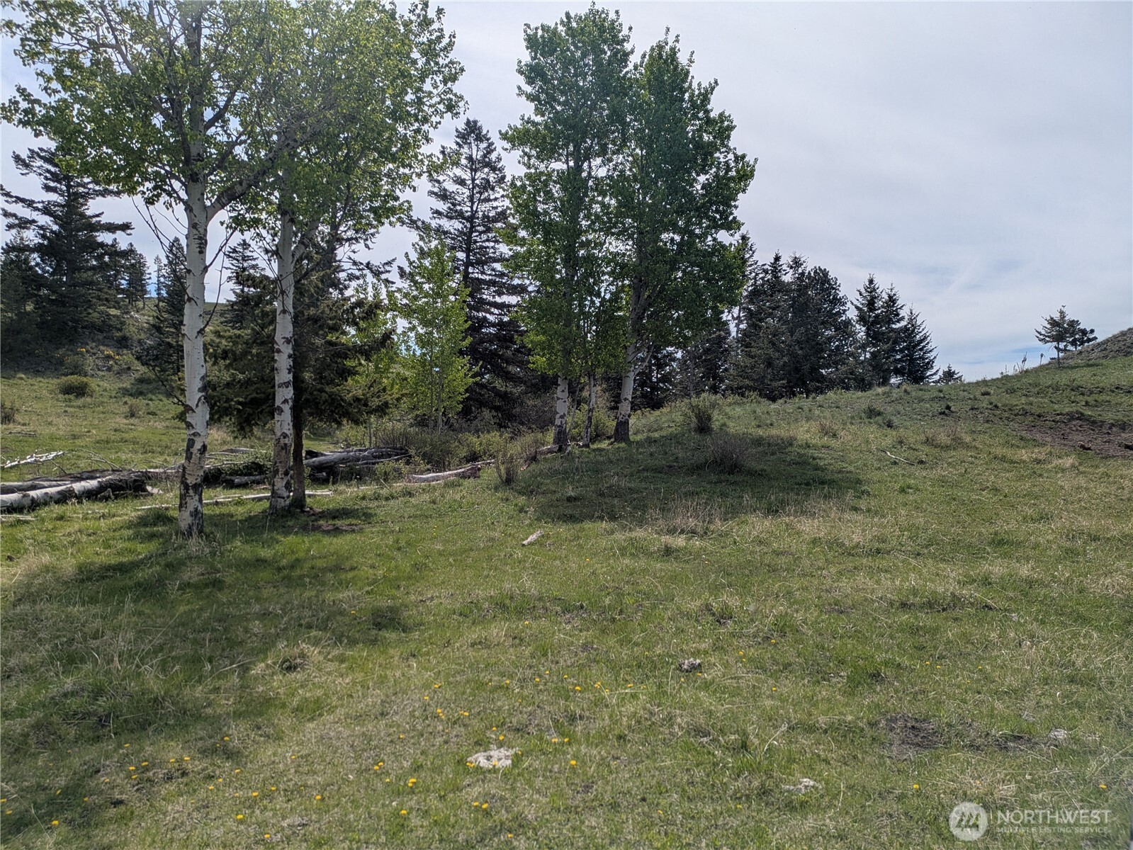 84 1/2 Pratt Road Property Photo 2