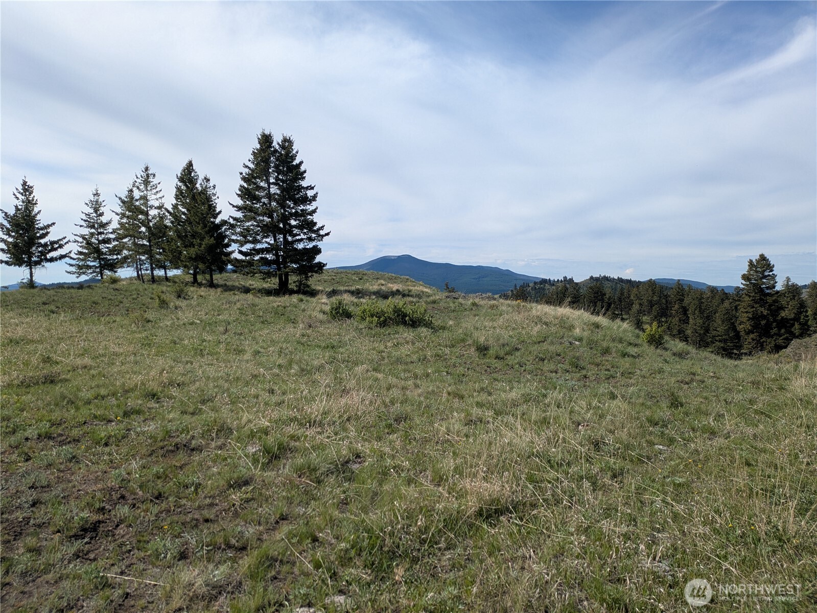 84 1/2 Pratt Road Property Photo 16