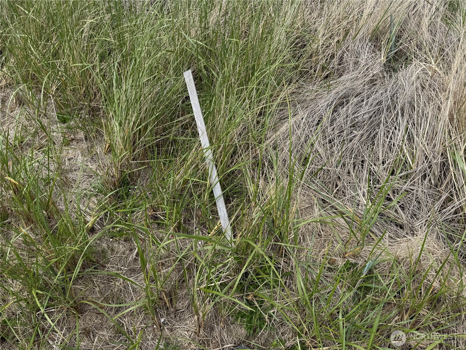 1493 E Ocean Shores Boulevard Property Photo 15