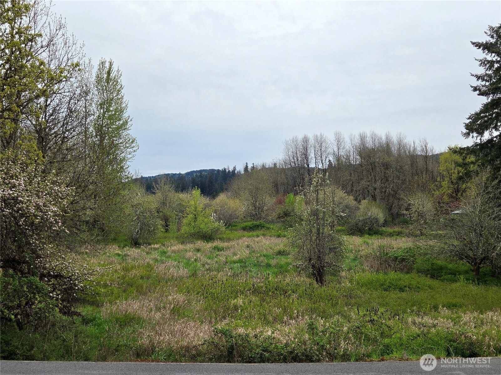198 Chandler Road Property Photo 2