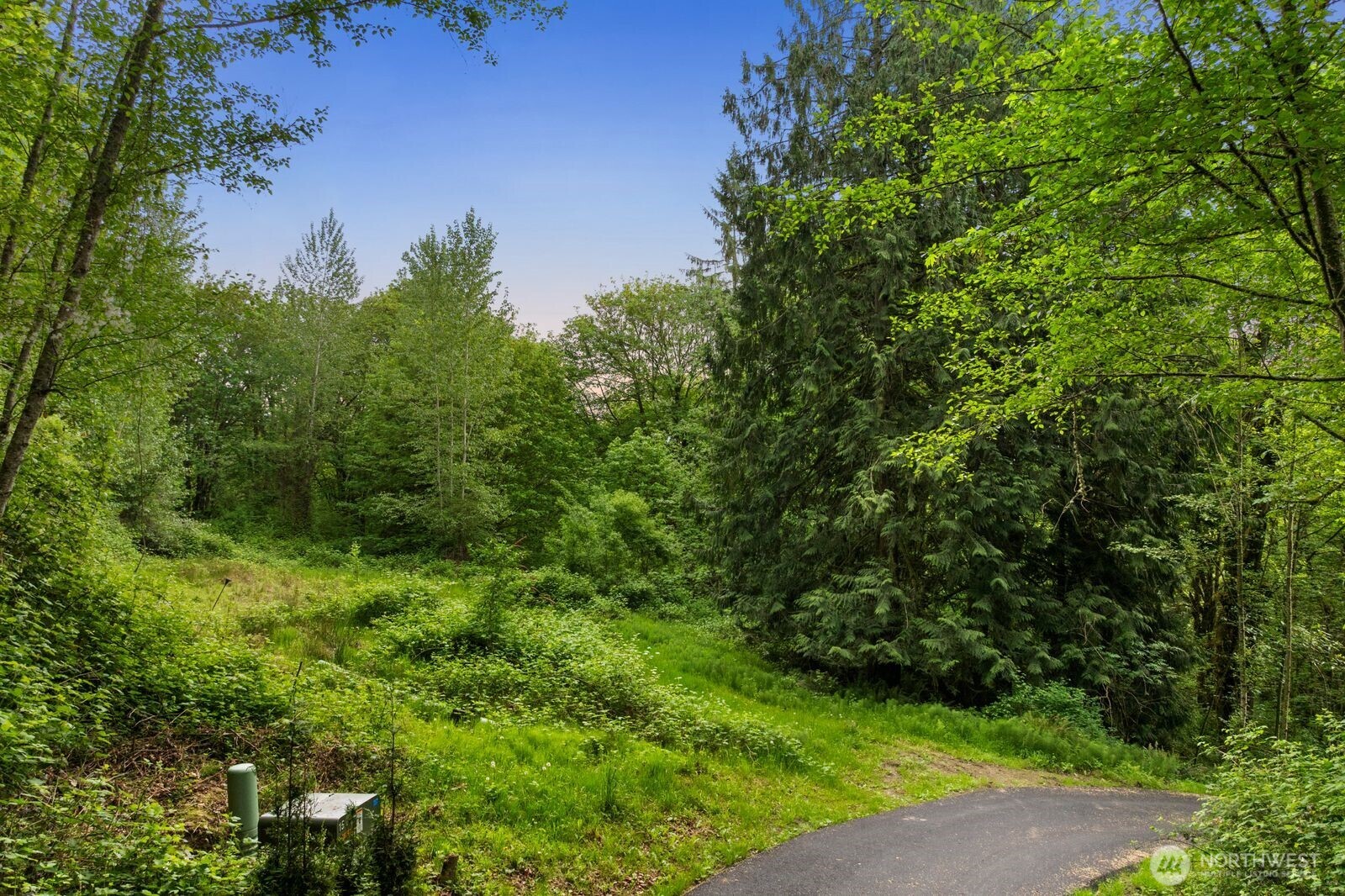 14925 180th Place Property Photo 19