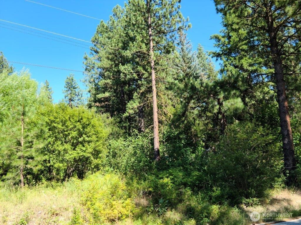 22103 Camp 12 Road Property Photo 2