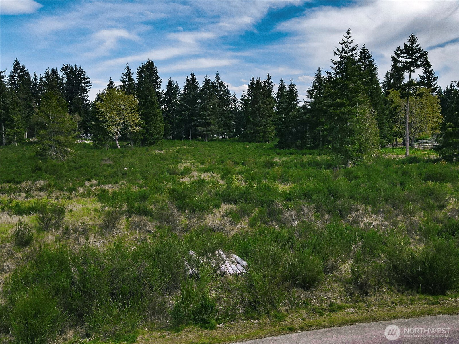 14543 Lindsay Loop Property Photo 6