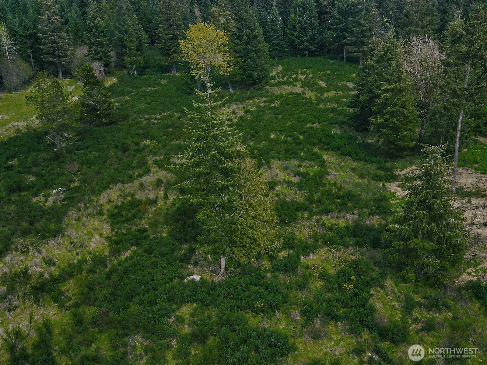 14543 Lindsay Loop Property Photo 7