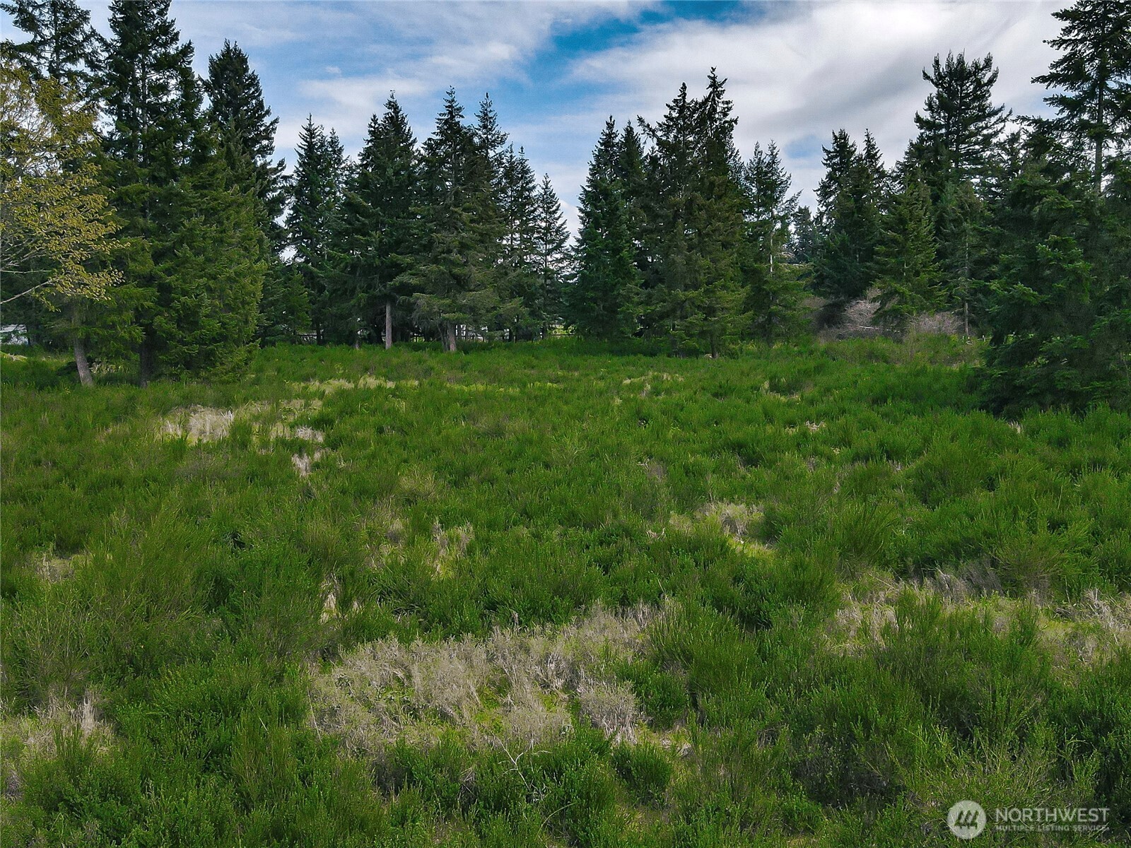 14543 Lindsay Loop Property Photo 8