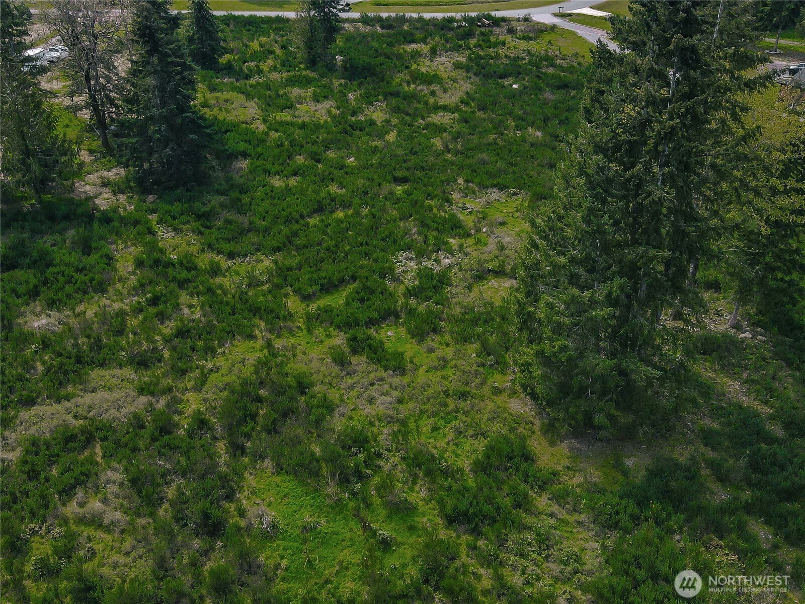 14543 Lindsay Loop Property Photo 10