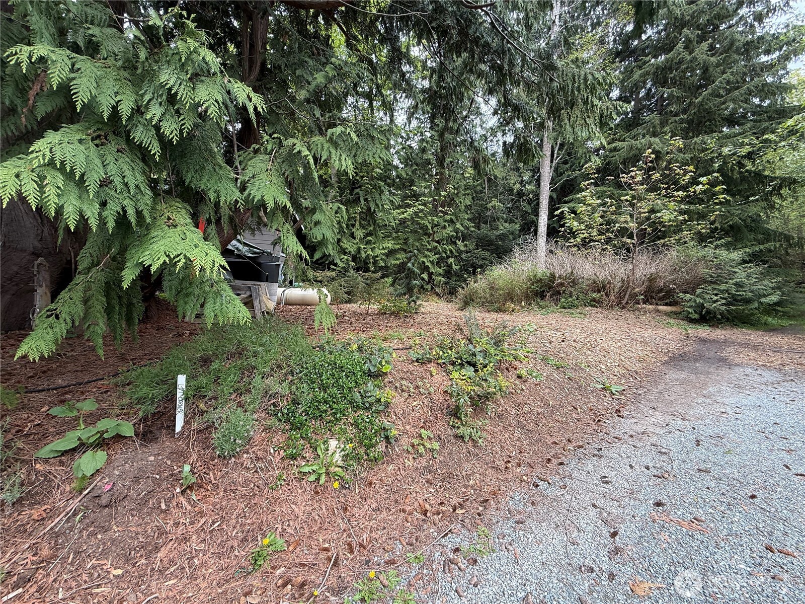 4408 Anaco Beach Road Property Photo 5