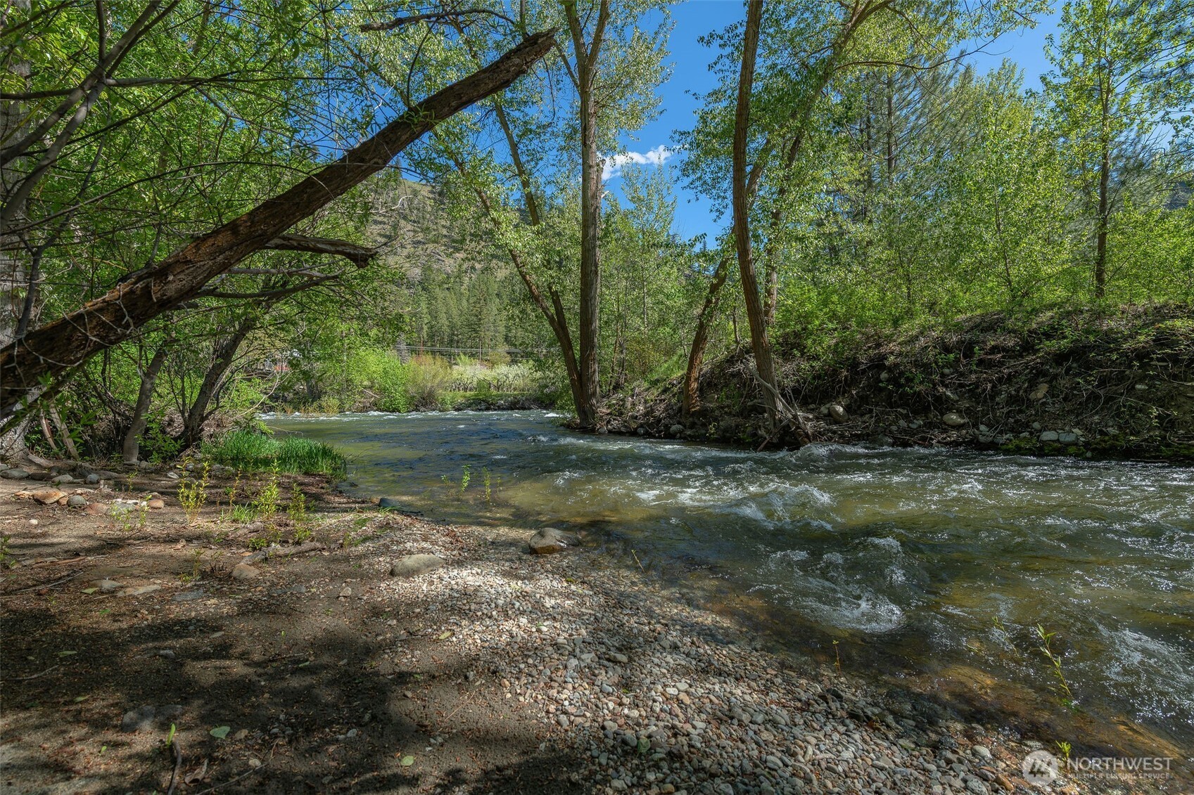177 Mad River Road Property Photo 4