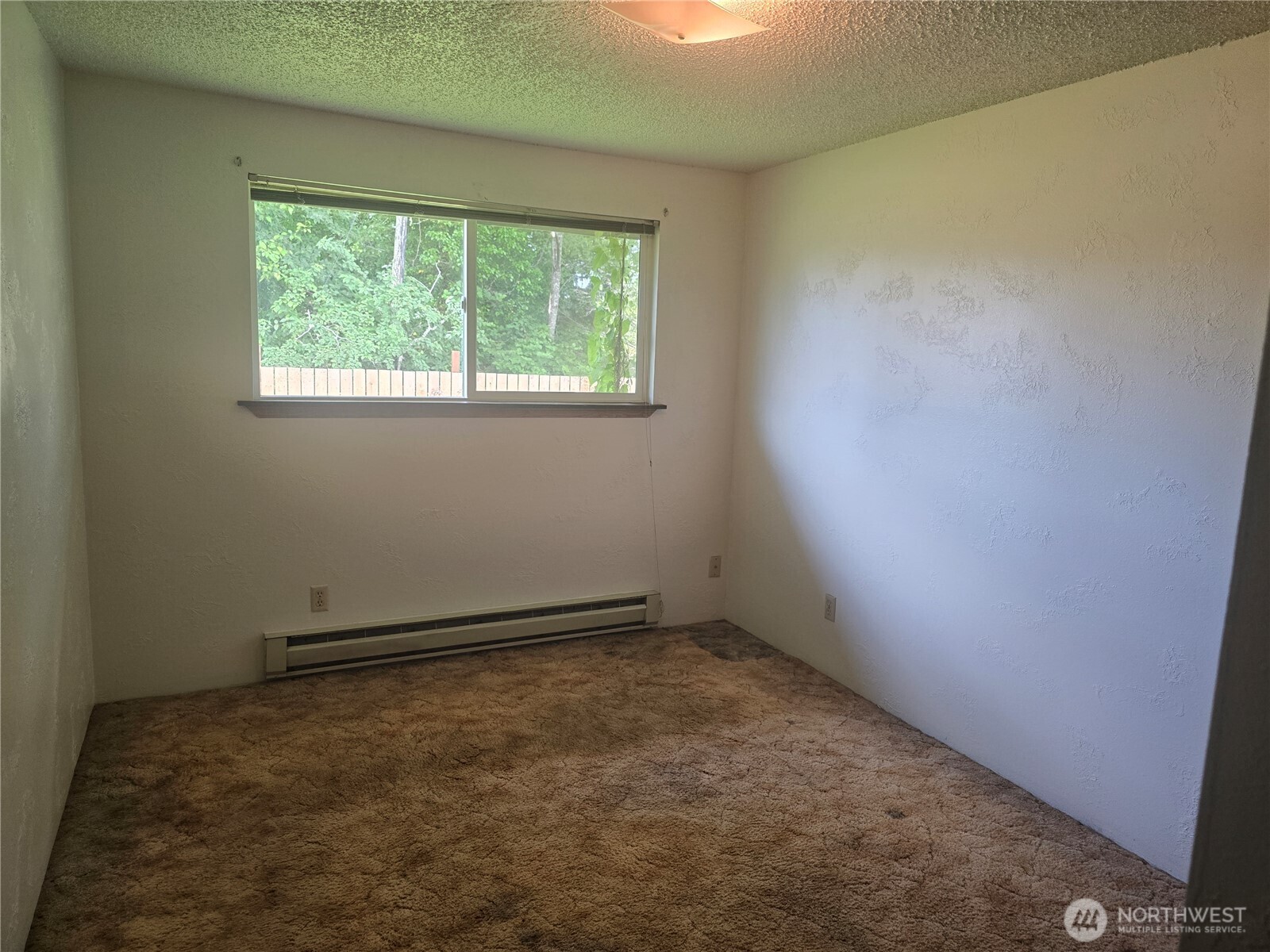 1011 Macfarlane Property Photo 16