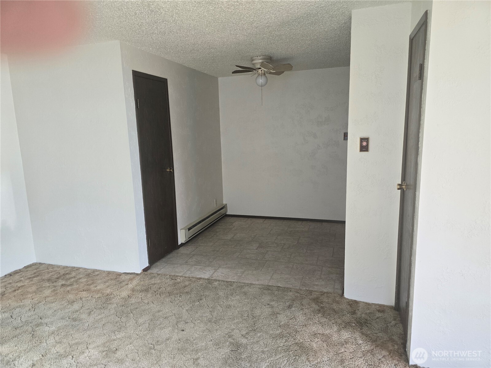 1011 Macfarlane Property Photo 20