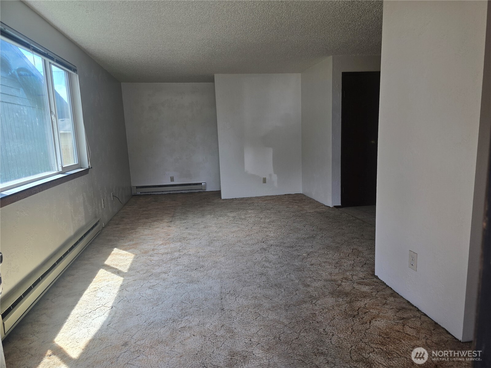 1011 Macfarlane Property Photo 21