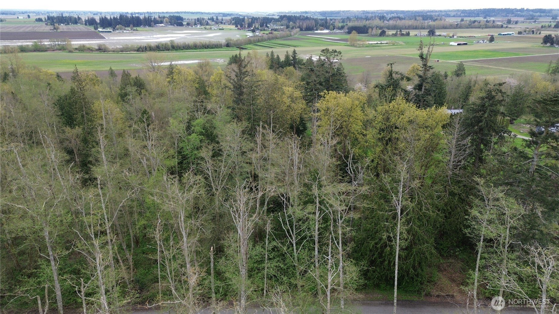 17584 Allen Road Property Photo 4
