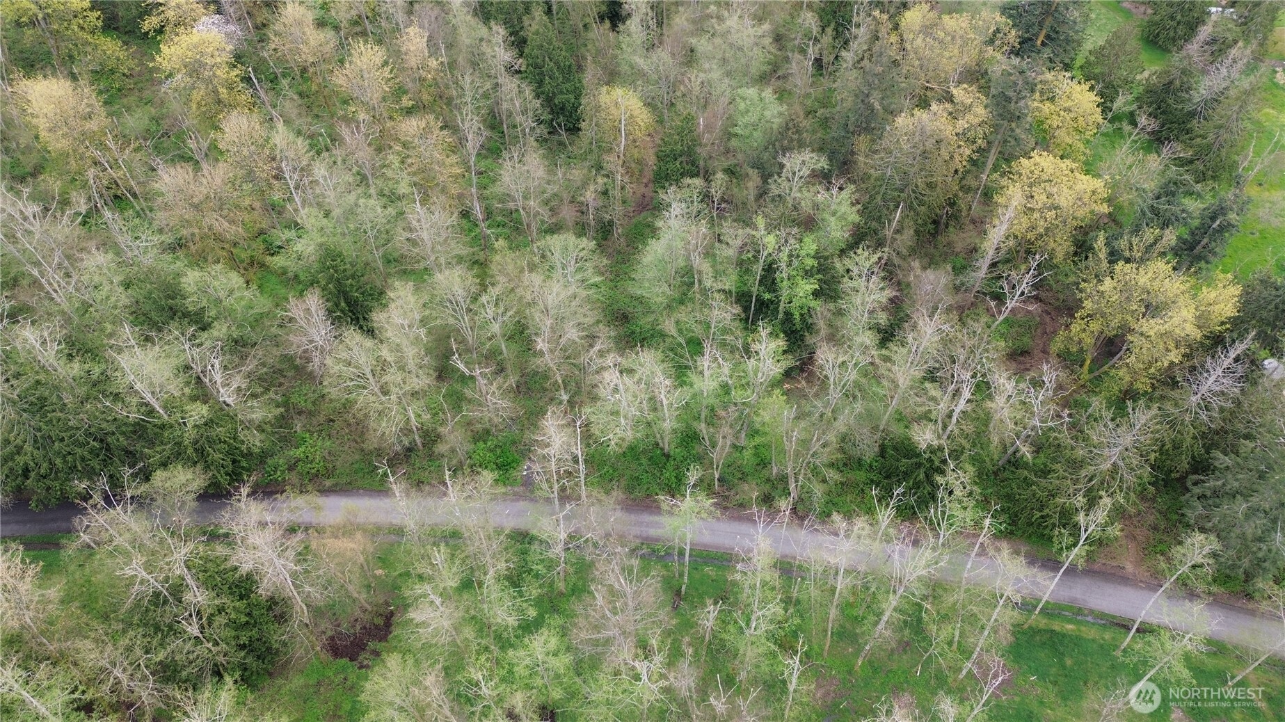17584 Allen Road Property Photo 6