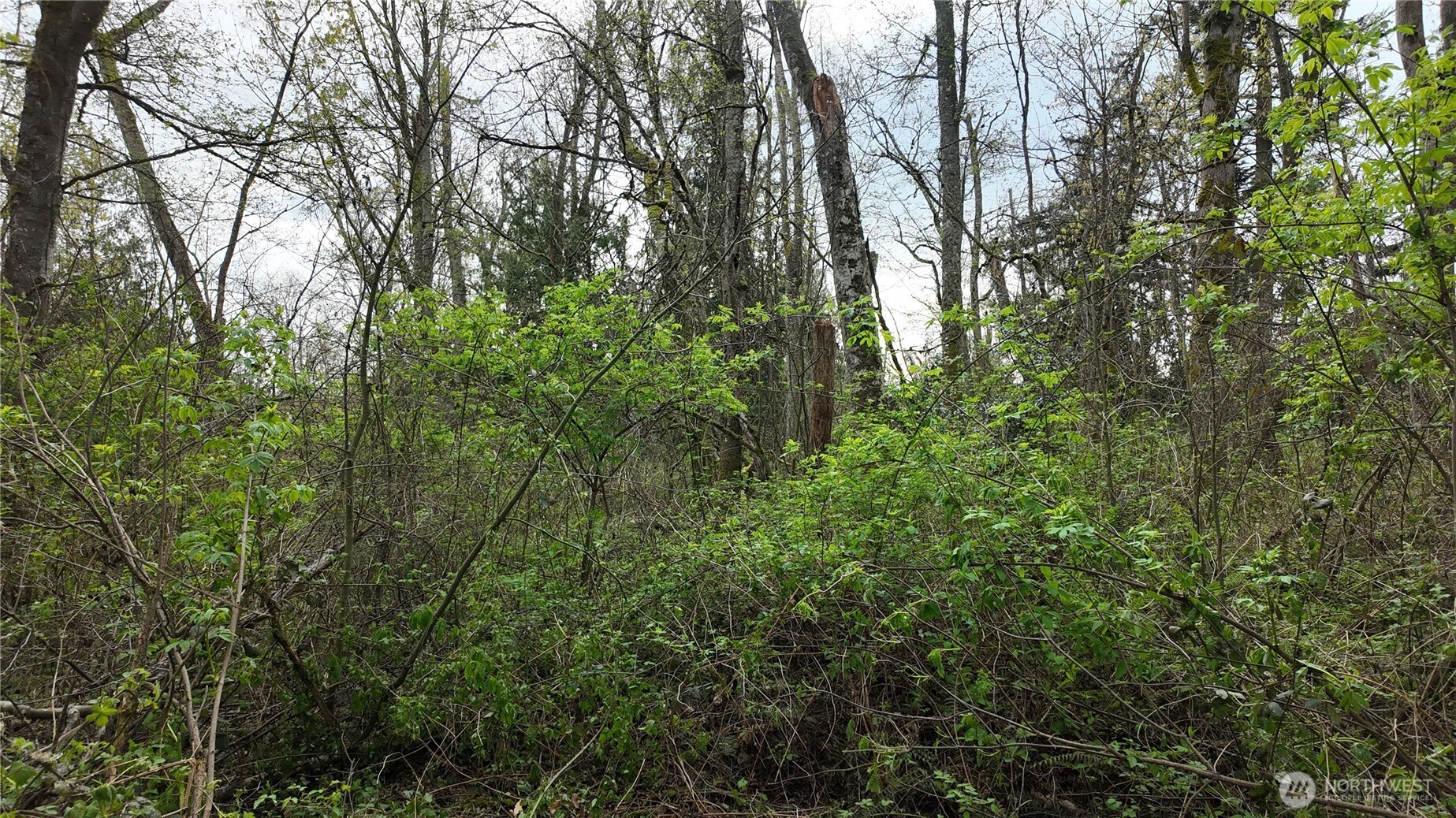 17584 Allen Road Property Photo 7