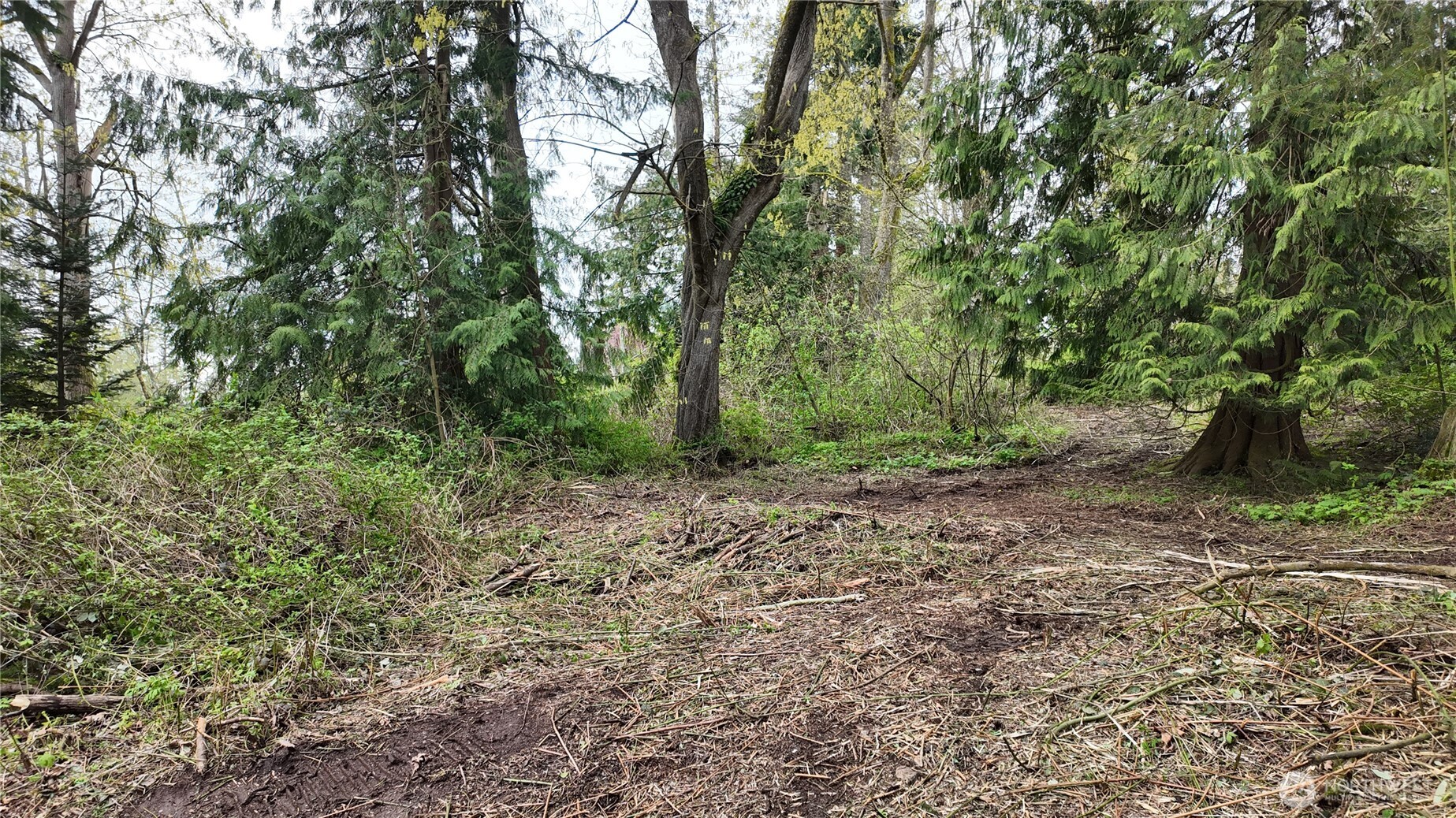 17584 Allen Road Property Photo 9