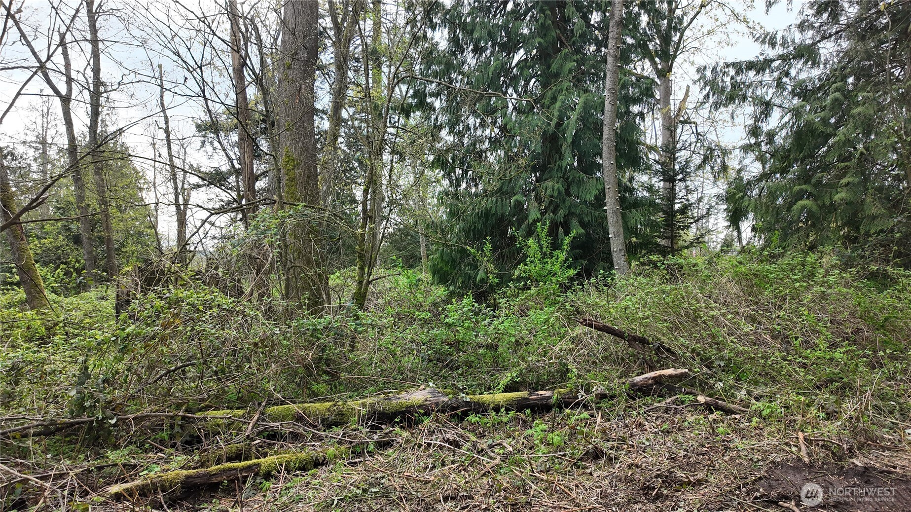 17584 Allen Road Property Photo 10