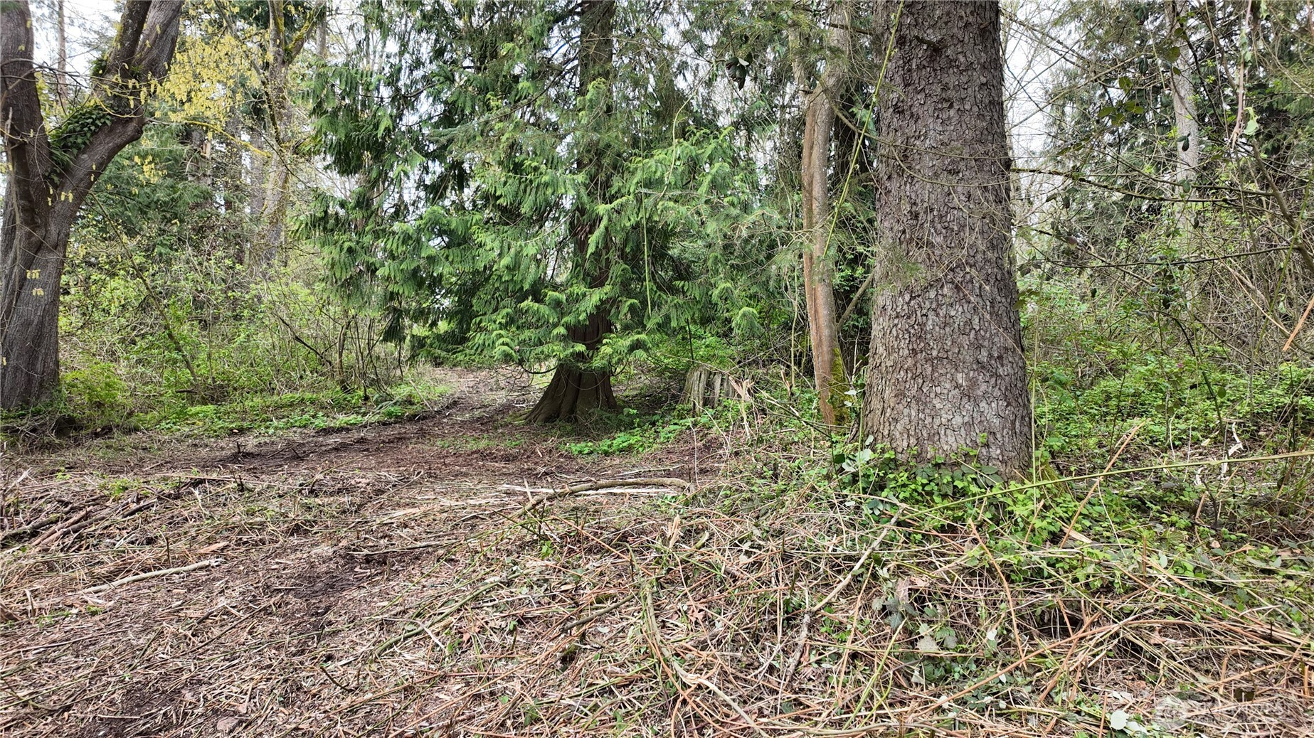 17584 Allen Road Property Photo 11