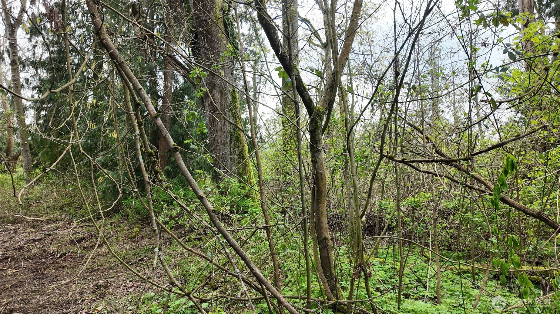 17584 Allen Road Property Photo 12