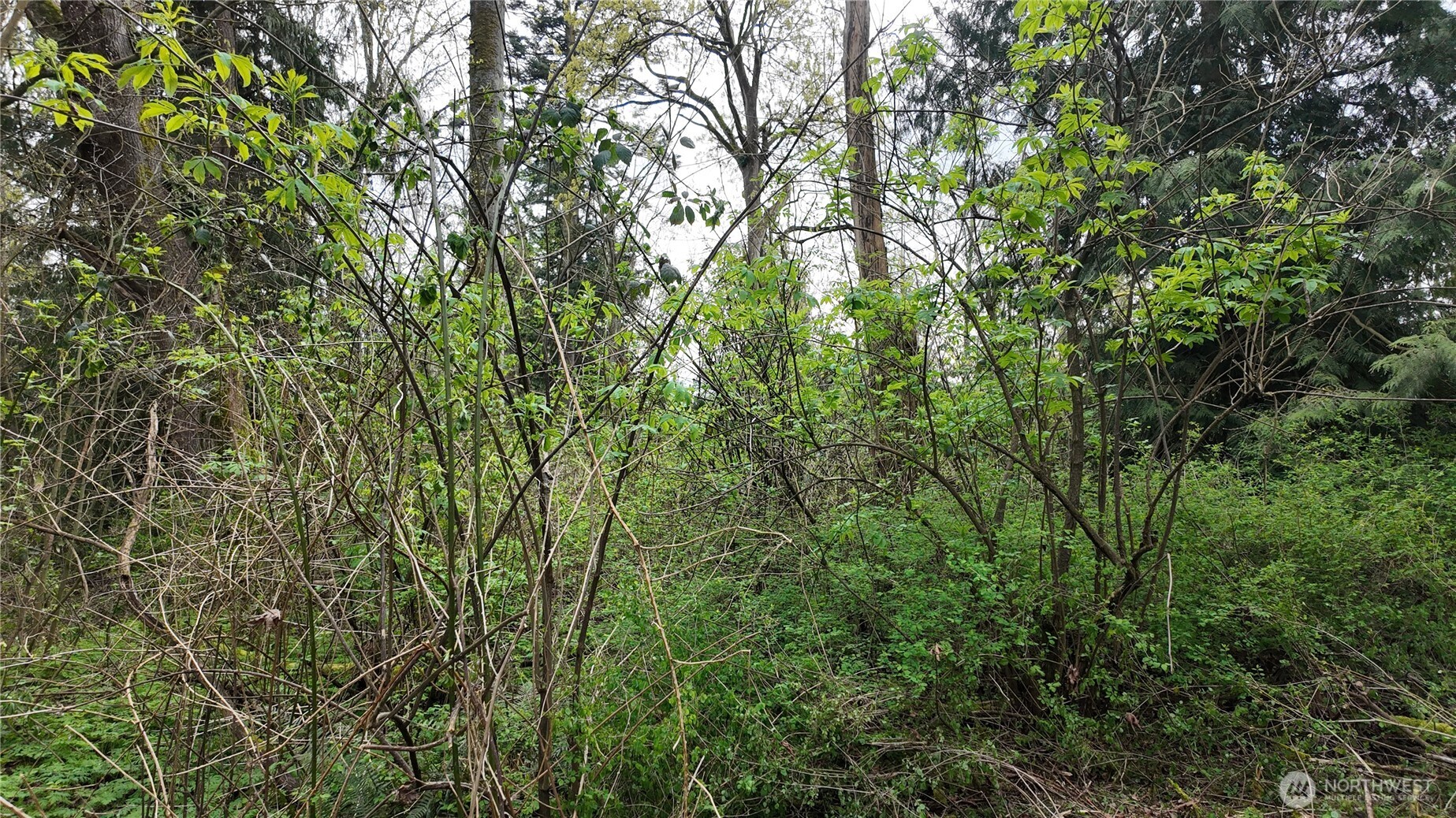 17584 Allen Road Property Photo 14