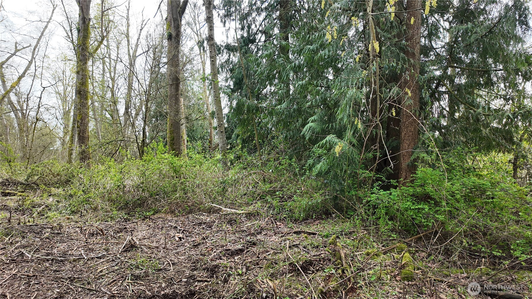 17584 Allen Road Property Photo 15