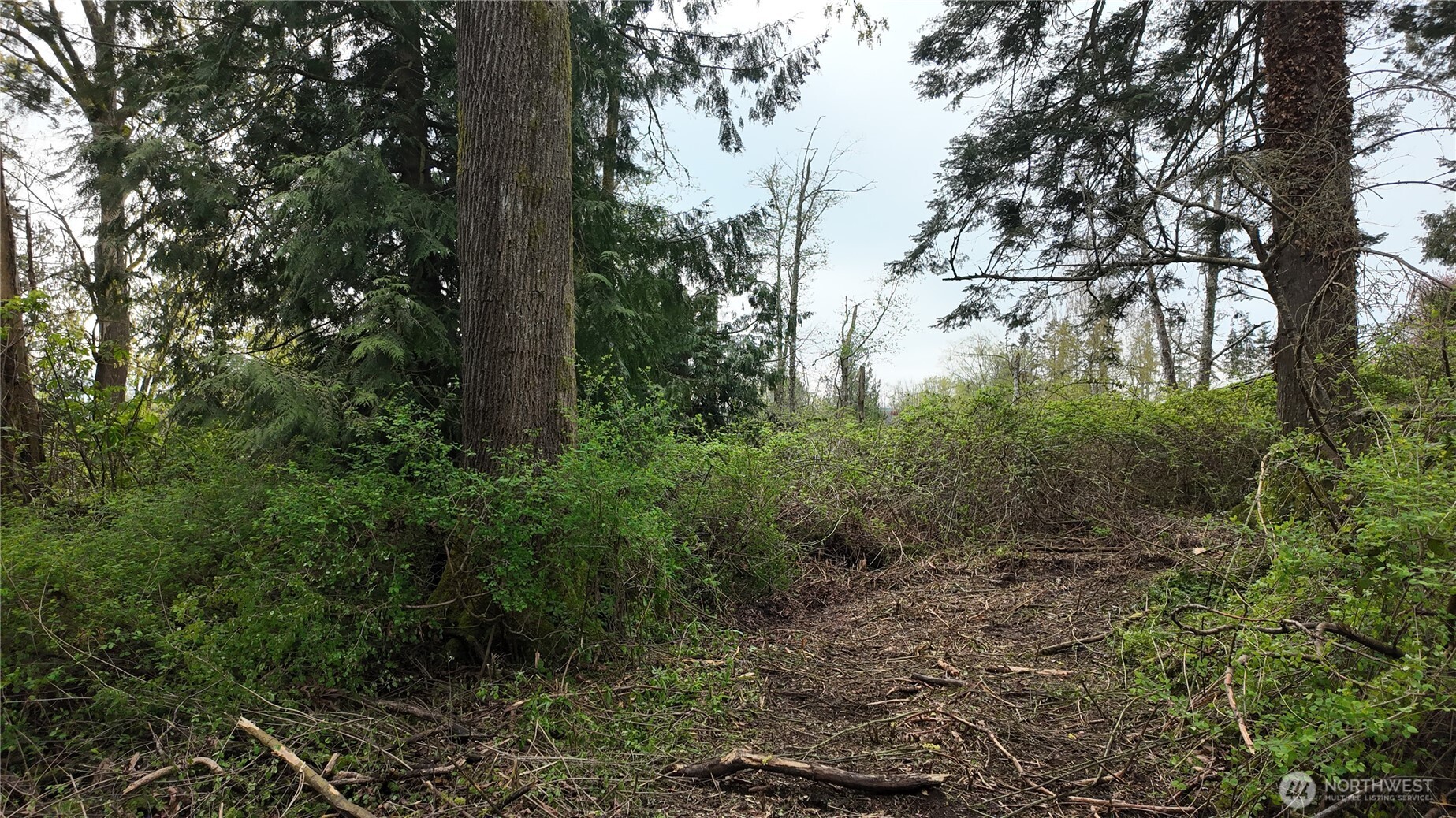 17584 Allen Road Property Photo 16