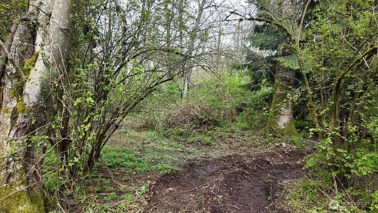 17584 Allen Road Property Photo 17
