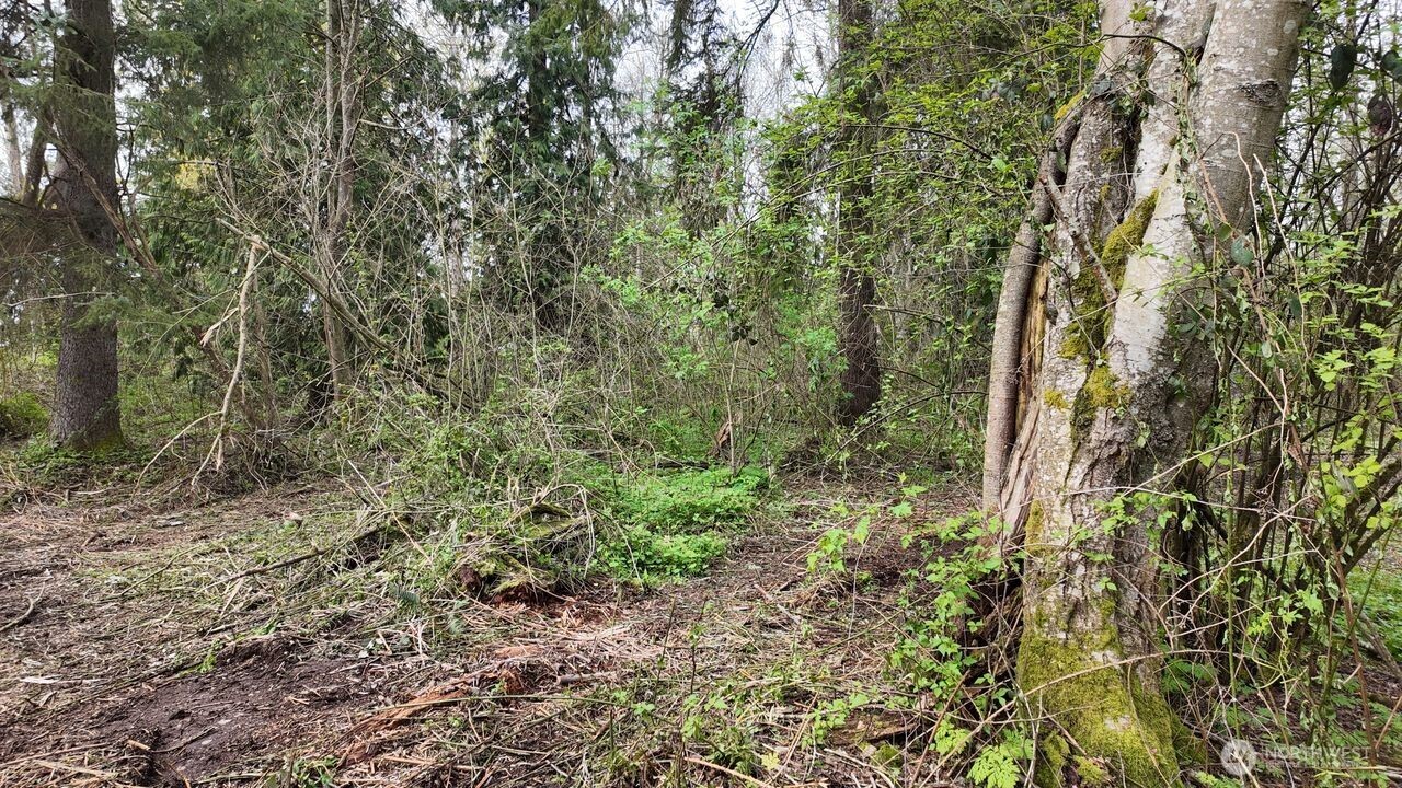 17584 Allen Road Property Photo 18