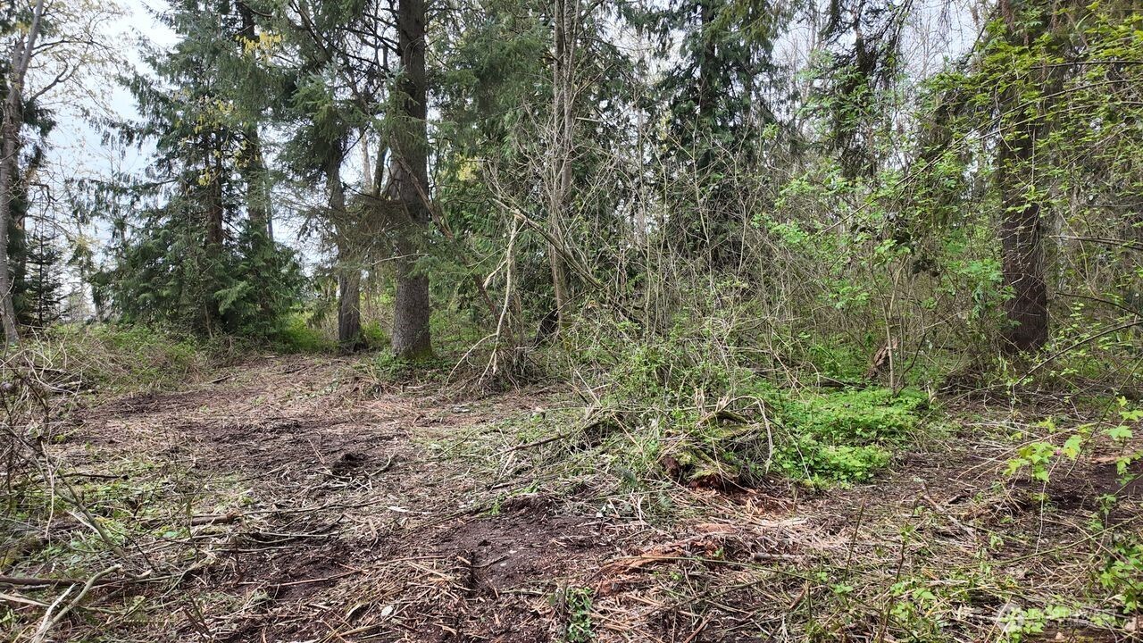 17584 Allen Road Property Photo 19