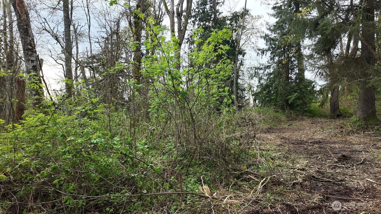 17584 Allen Road Property Photo 20