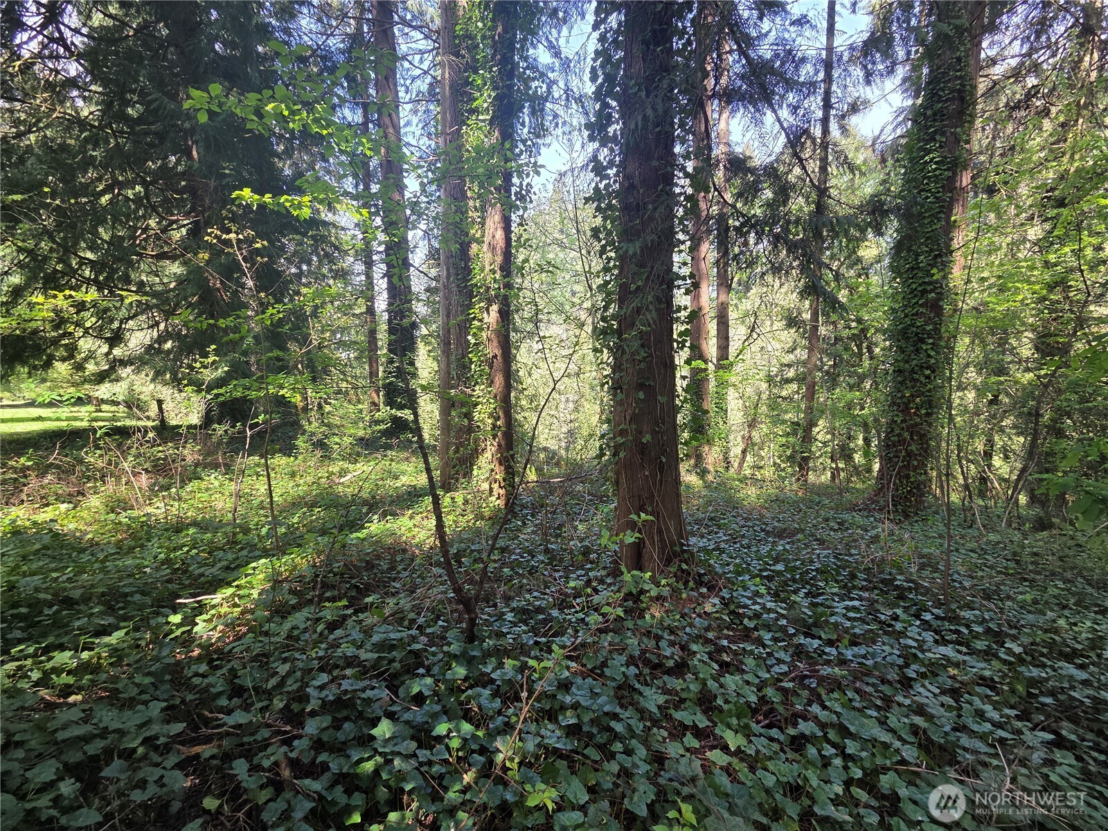 0 Ne 45th Avenue Property Photo 14