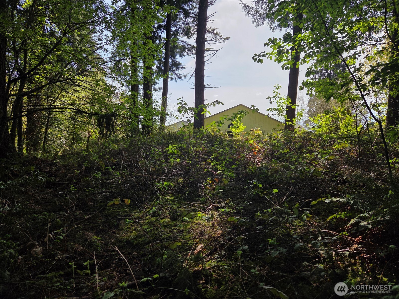 0 Ne 45th Avenue Property Photo 19