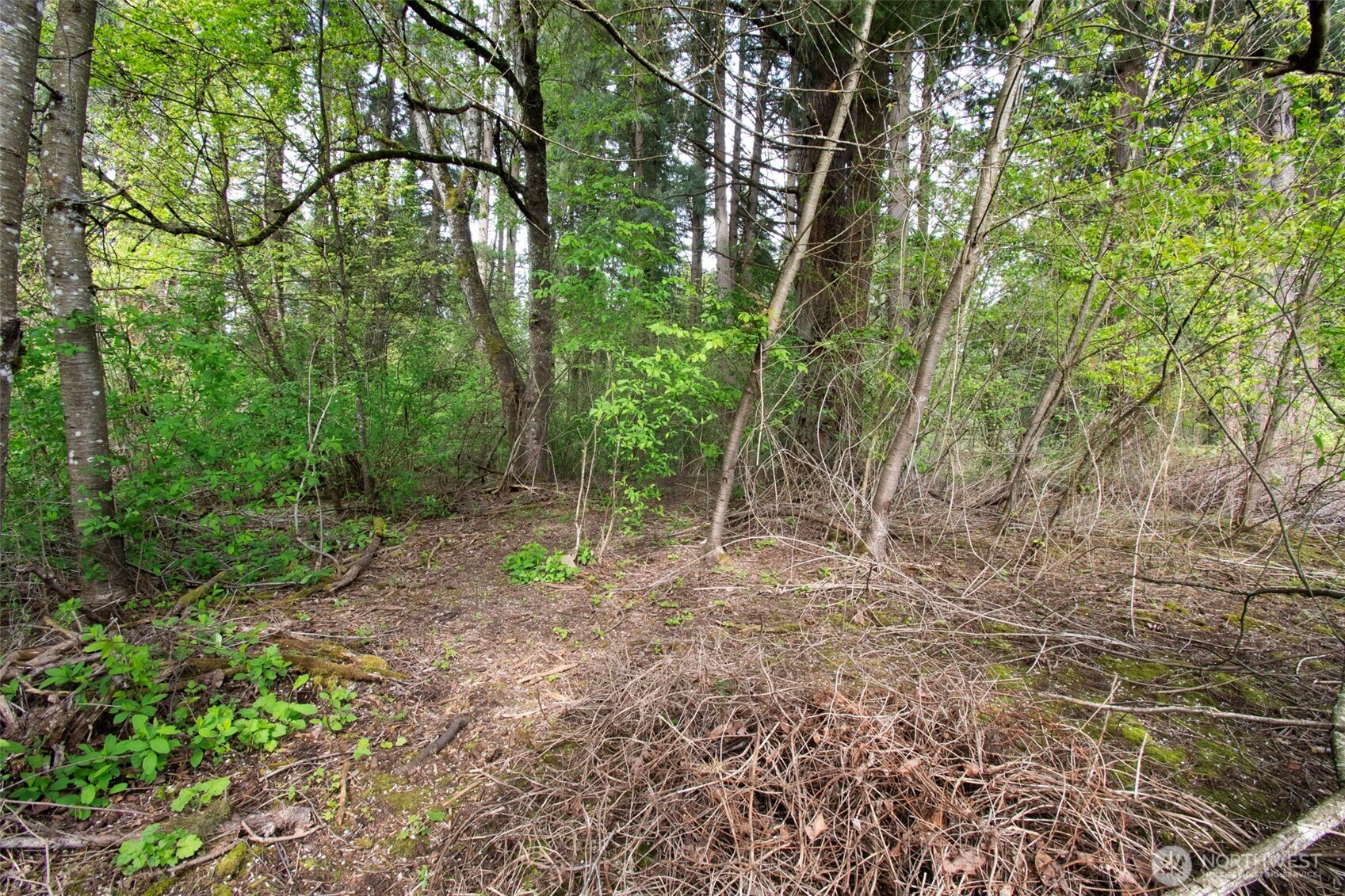 0 Ne 45th Avenue Property Photo 27