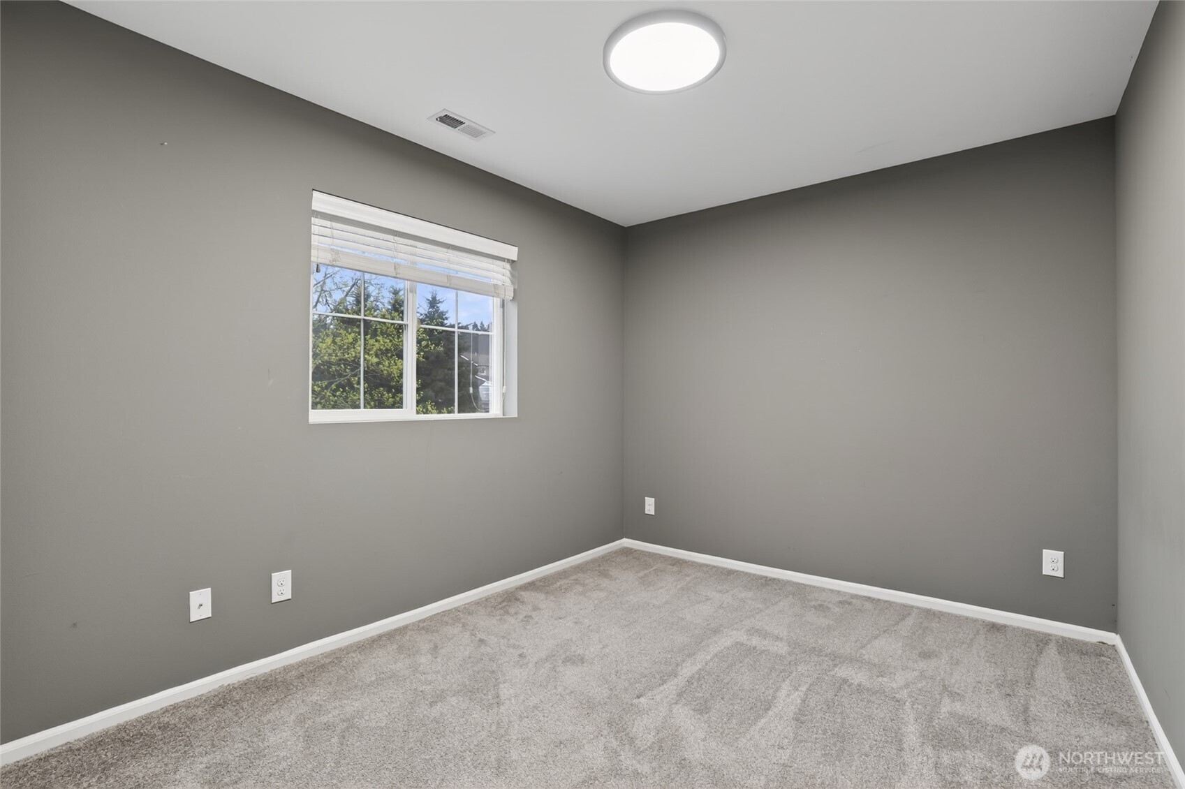 4224 E T Street Property Photo 25