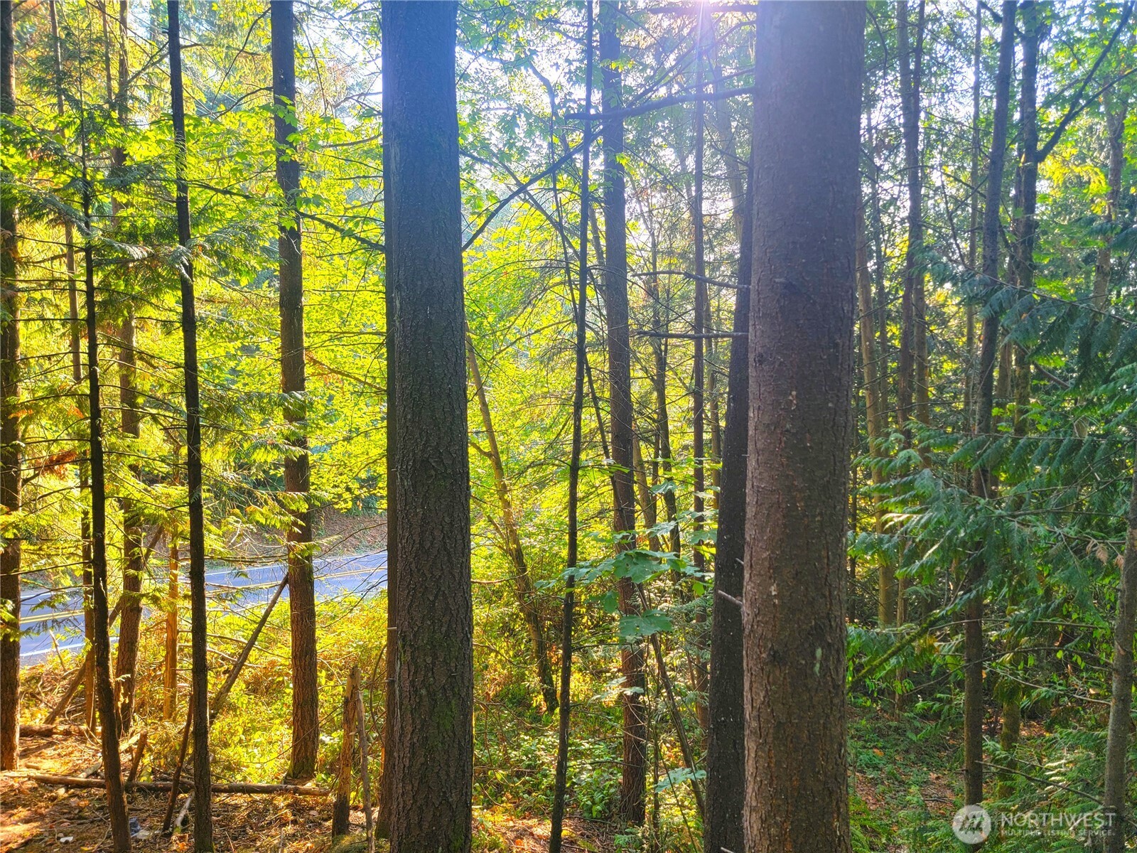 1858 Ne Mcwilliams Road Property Photo 7