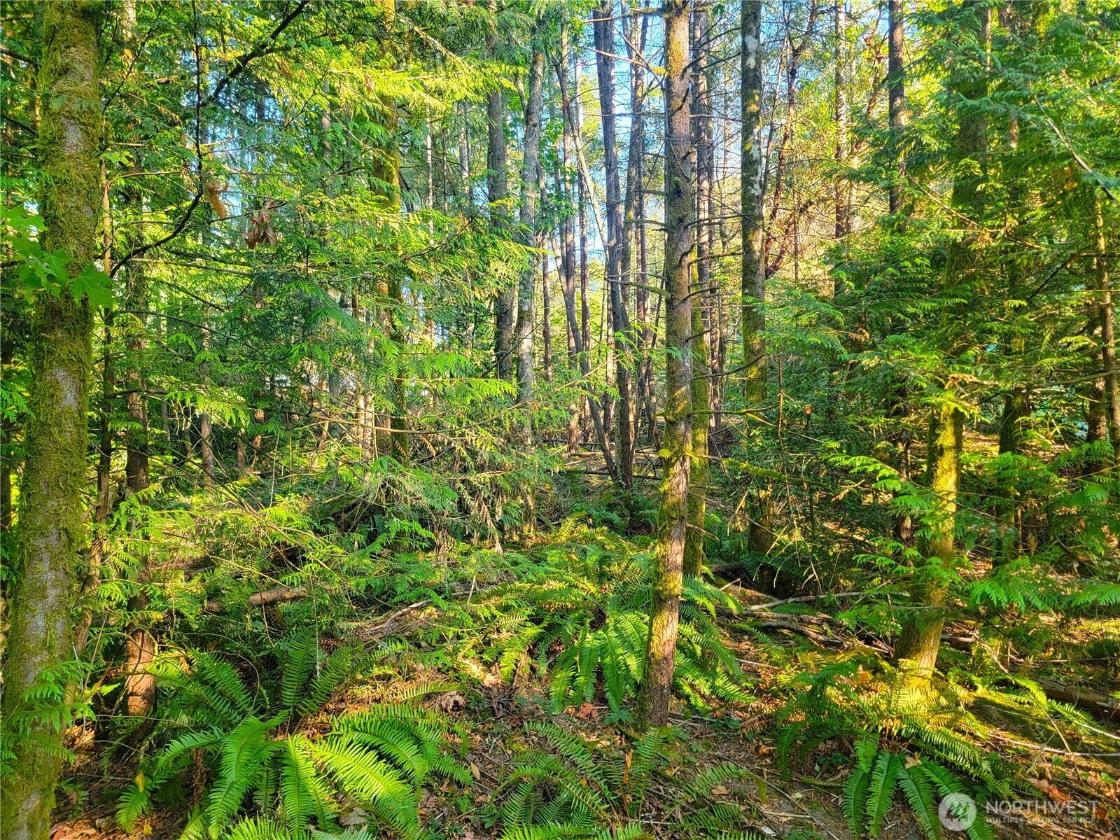 1858 Ne Mcwilliams Road Property Photo 9
