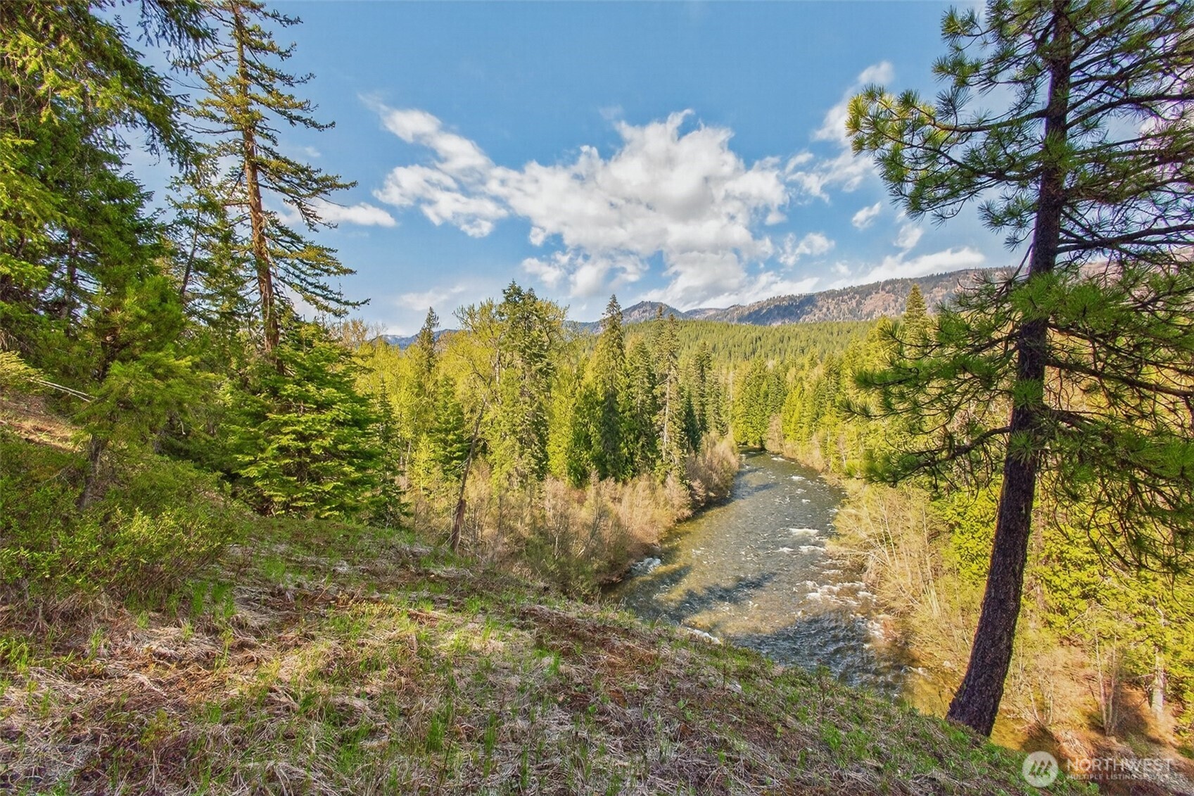 0 Salal Drive Property Photo 3