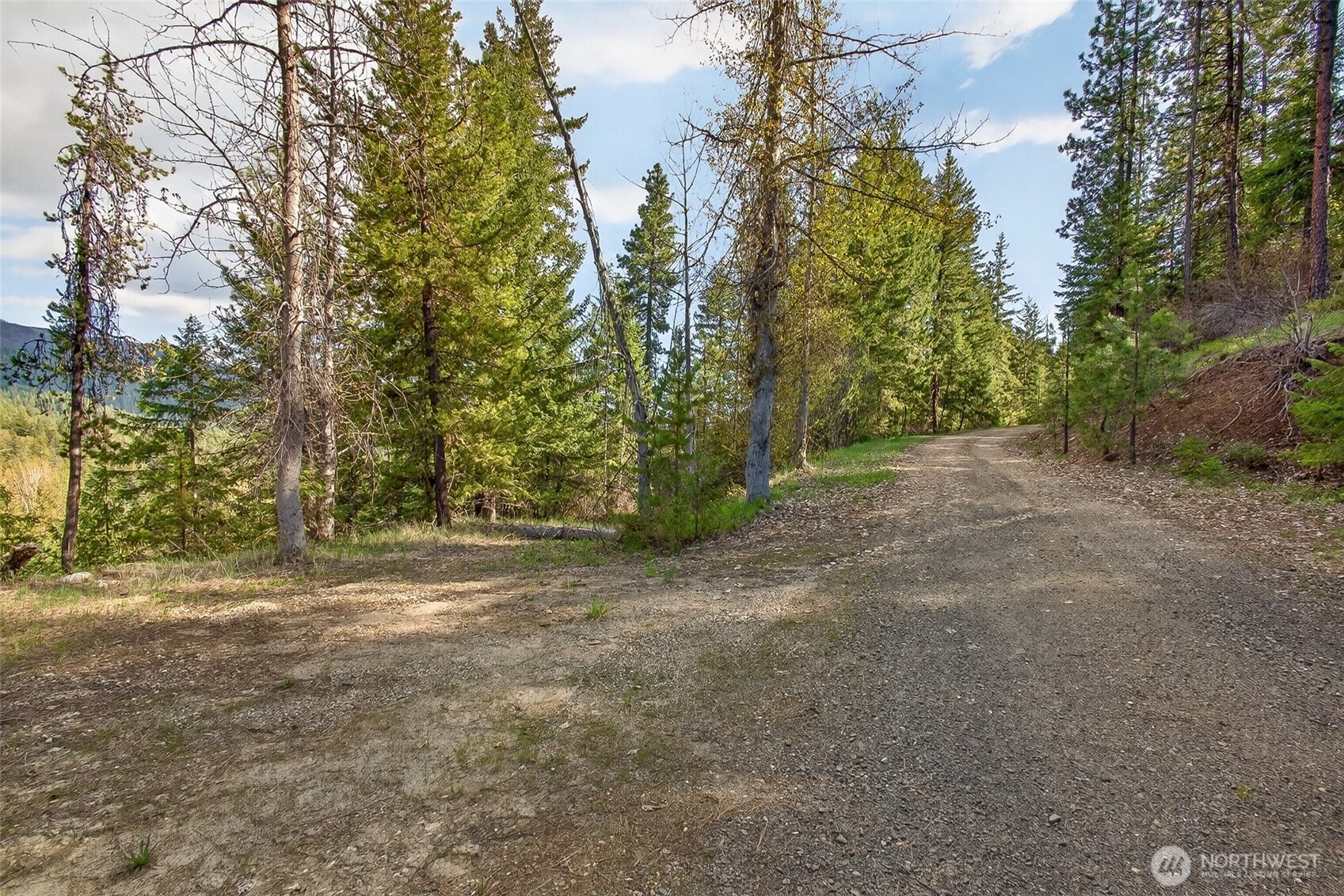 0 Salal Drive Property Photo 8