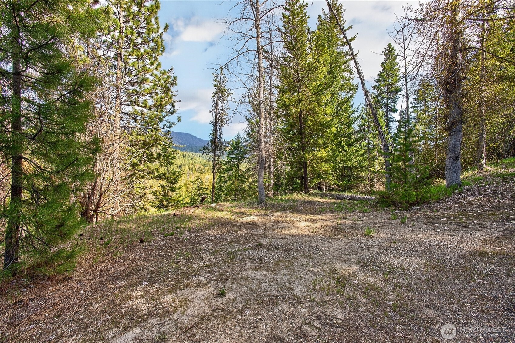 0 Salal Drive Property Photo 10