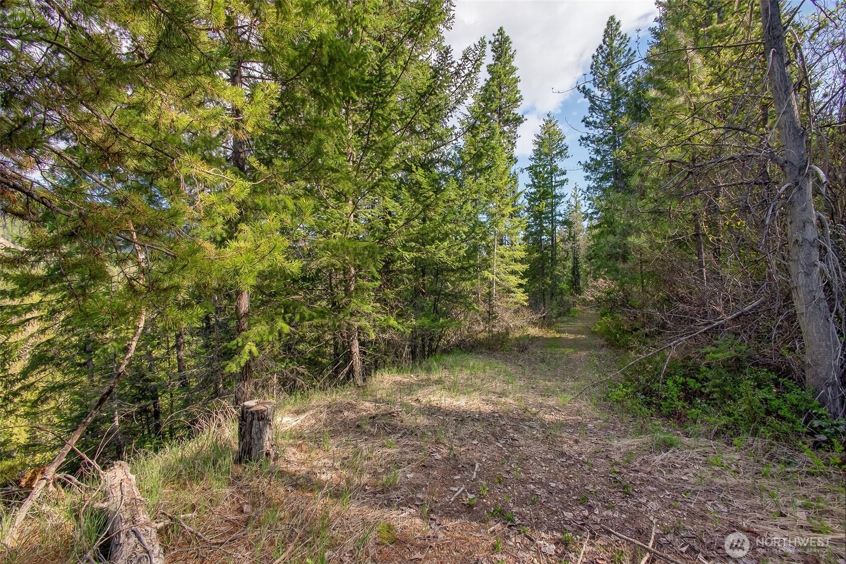 0 Salal Drive Property Photo 11
