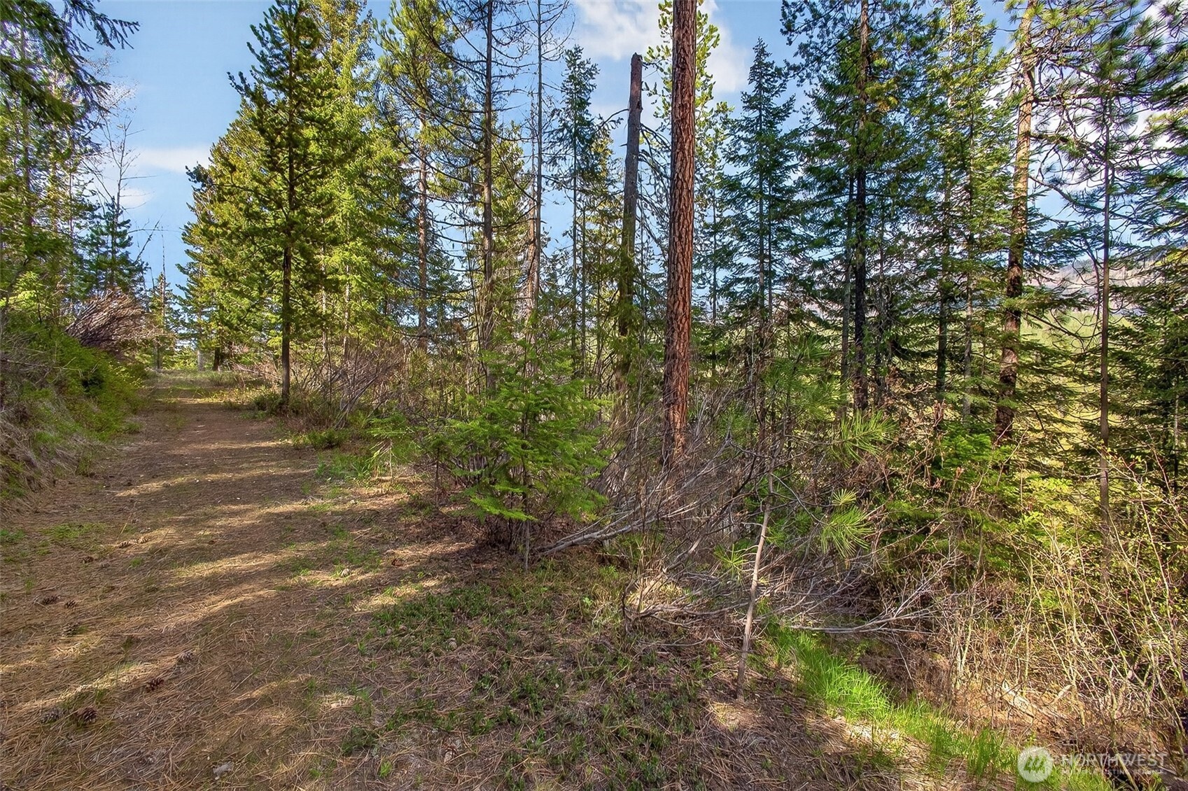 0 Salal Drive Property Photo 12
