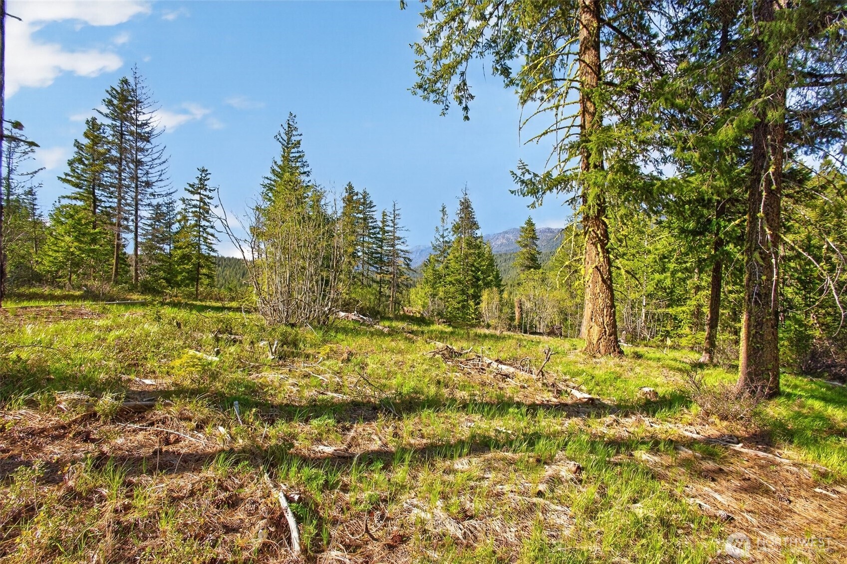 0 Salal Drive Property Photo 14