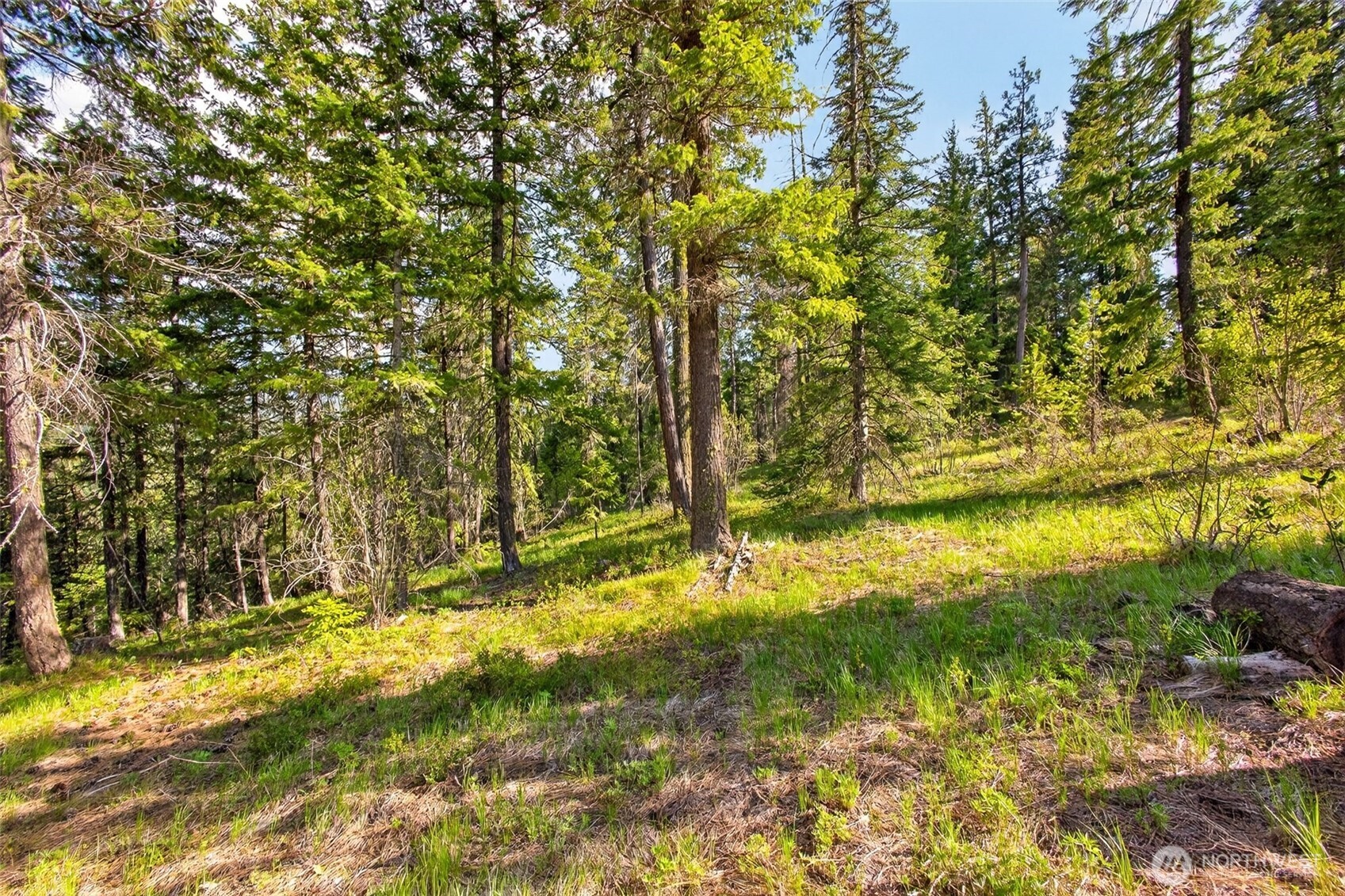 0 Salal Drive Property Photo 17