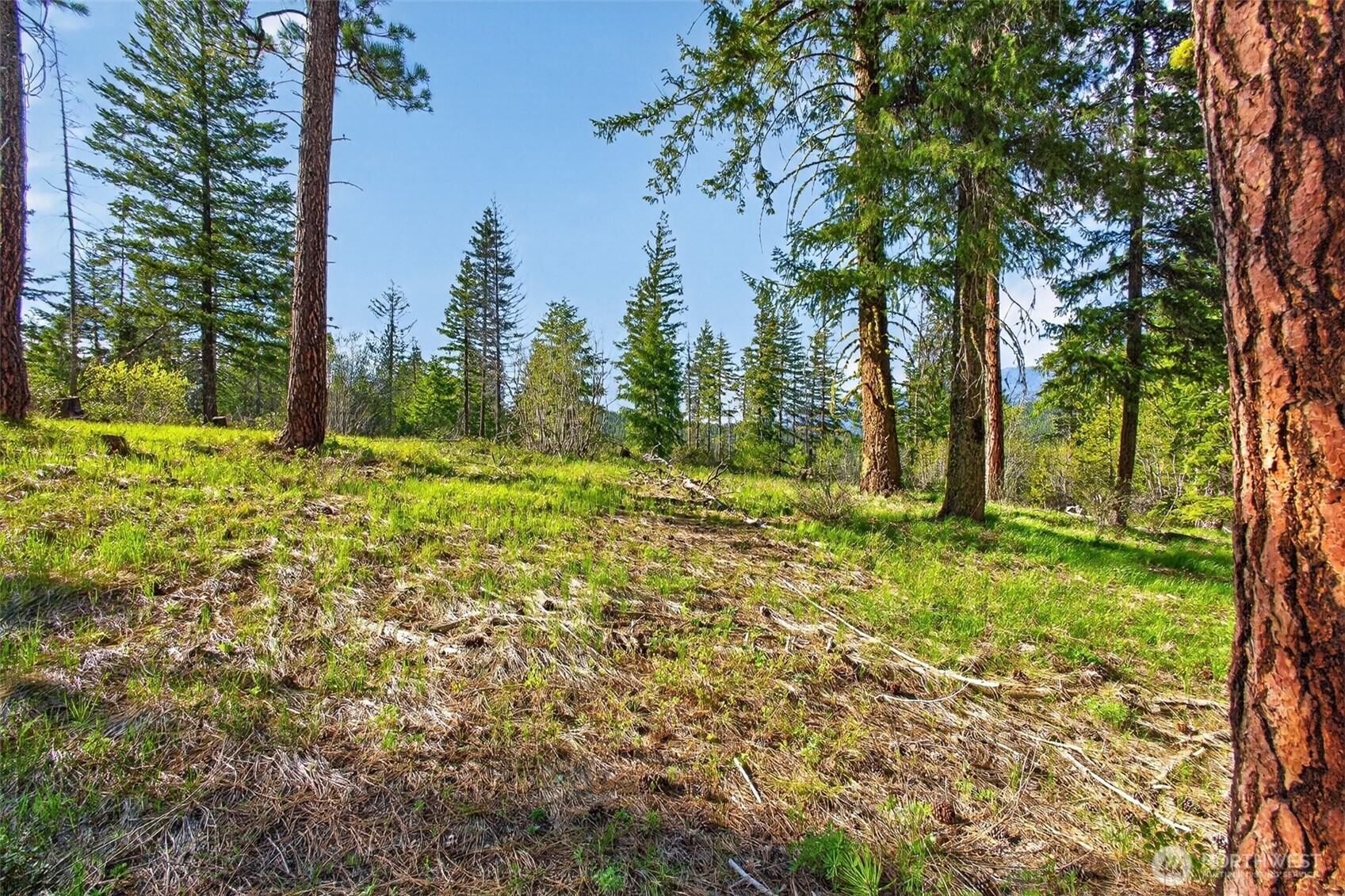 0 Salal Drive Property Photo 18