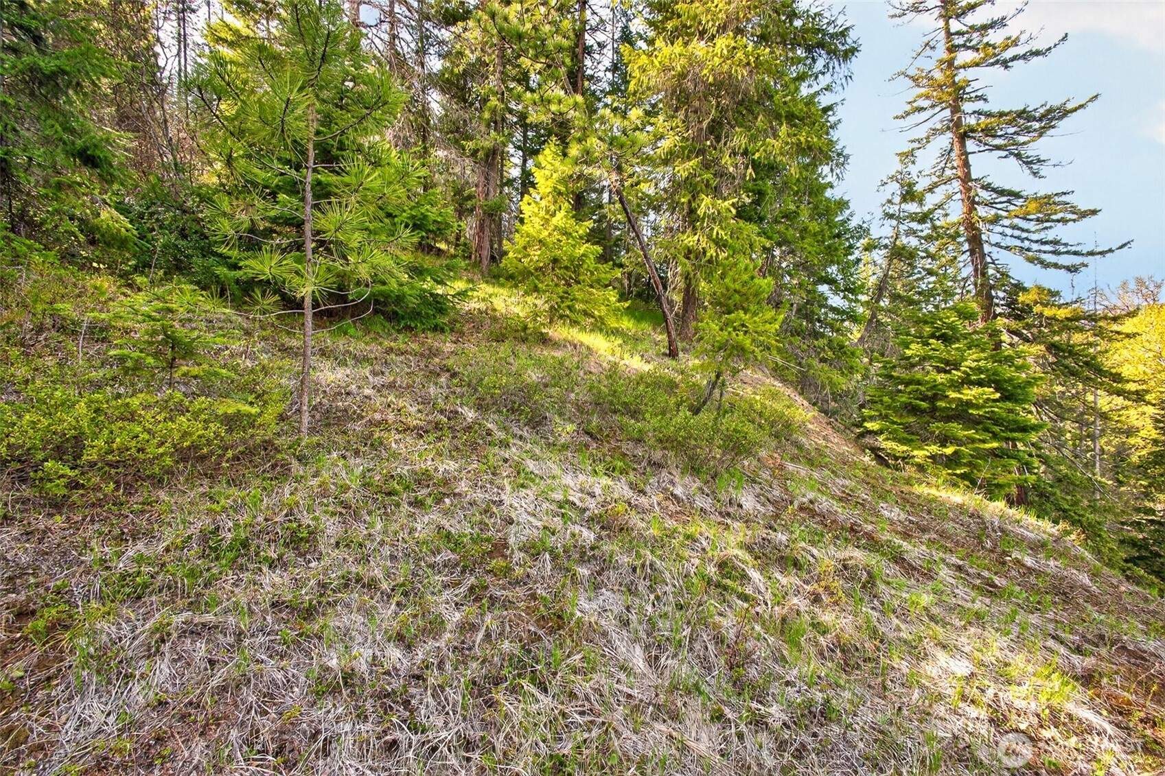0 Salal Drive Property Photo 19