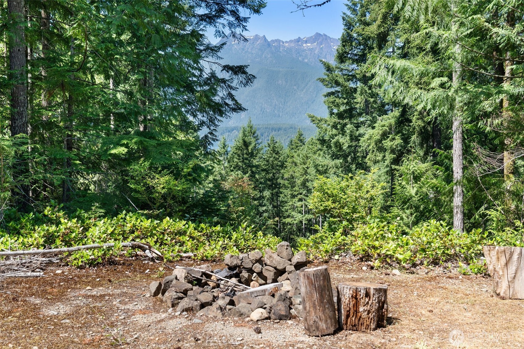 5154 N Lake Cushman Road Property Photo 4