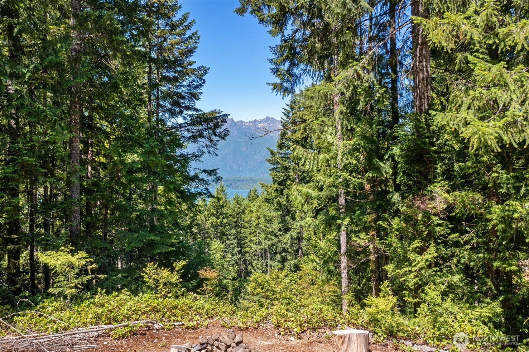 5154 N Lake Cushman Road Property Photo 5